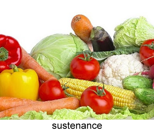 sustenance_332