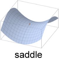 200px-Saddle_point.jpg