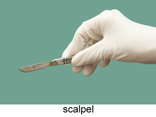 scalpel_32.jpg