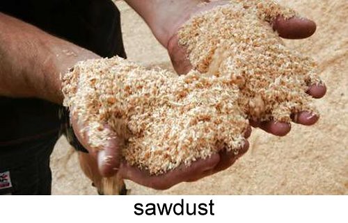 sawdust 1.jpg