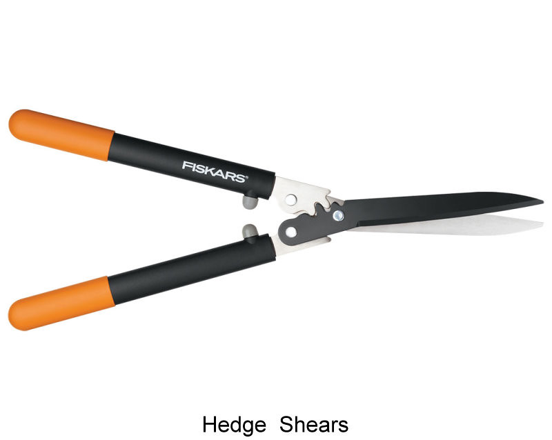 Shears for Hedge.jpg